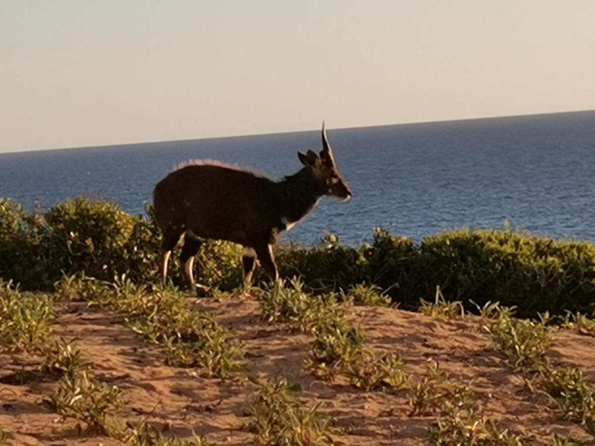 Lodge 93 Mossel Bay Zewnętrze zdjęcie